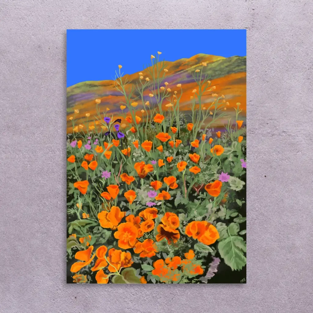 California poppies