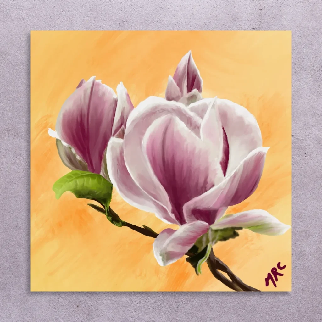 Magnolia isn’t dull